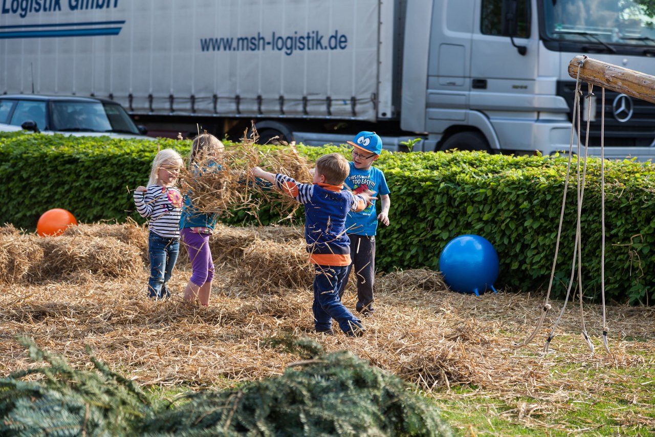 Bild 8 - Wiemersdorfer Maibaum